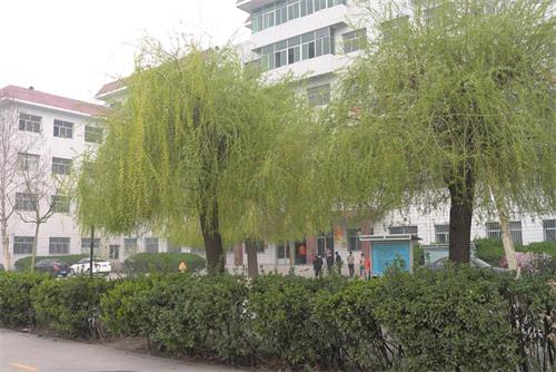 學(xué)習(xí)高鐵乘務(wù)專(zhuān)業(yè)怎么樣？   