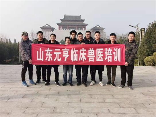 想當(dāng)獸醫(yī)要學(xué)什么？   