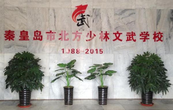 秦皇島北方少林文武學(xué)校就業(yè)如何？這答案你放心！