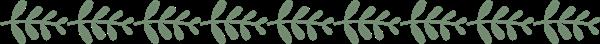 石家莊平安醫(yī)學(xué)中等專業(yè)學(xué)校地址在哪？