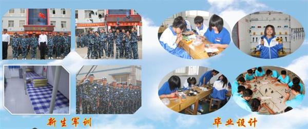 青島海信中心聯(lián)校收費(fèi)標(biāo)準(zhǔn)是什么？
