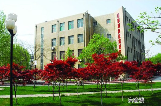 淄博市工業(yè)學(xué)校開設(shè)哪些計算機課程？