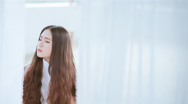 石家莊東方學(xué)院都開設(shè)了哪些專業(yè)？