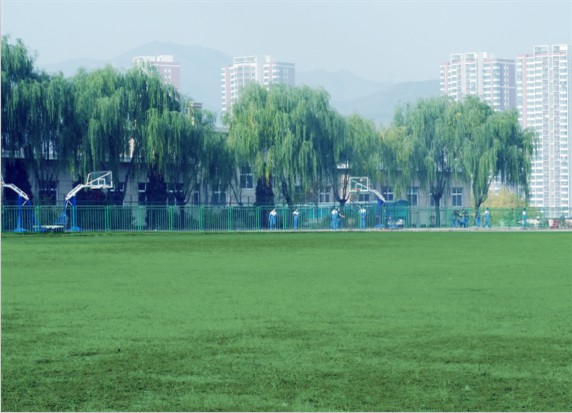 青島滿天星職業(yè)培訓學校怎么樣？