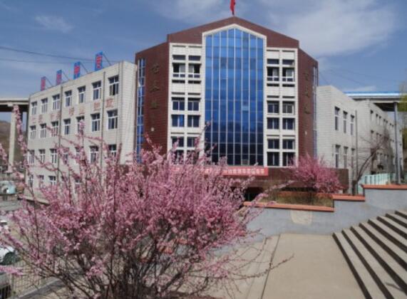 承德通達中等專業(yè)學(xué)校國際商務(wù)專業(yè)是留學(xué)專業(yè)嗎？